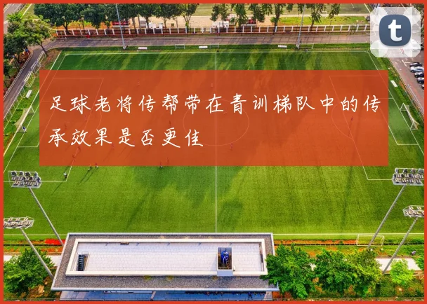 足球老将传帮带在青训梯队中的传承效果是否更佳
