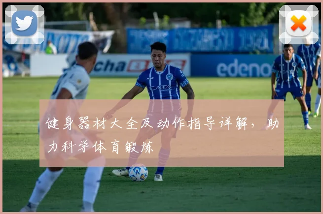 健身器材大全及动作指导详解，助力科学体育锻炼