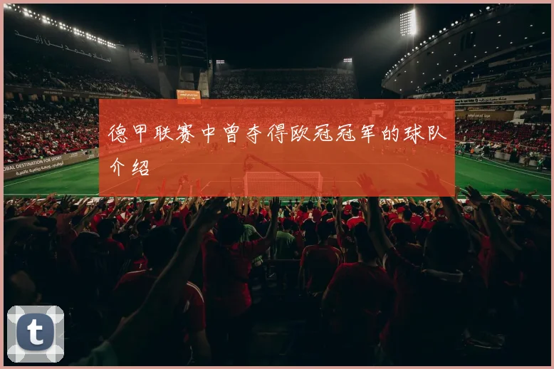 德甲联赛中曾夺得欧冠冠军的球队介绍