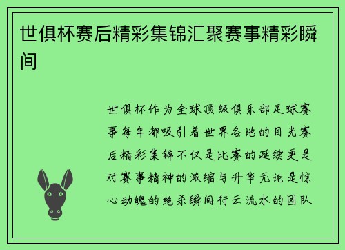 世俱杯赛后精彩集锦汇聚赛事精彩瞬间